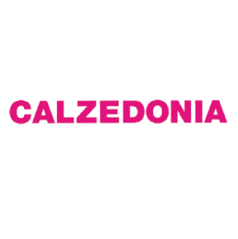 calzedonia | Cliente Magica Gadget